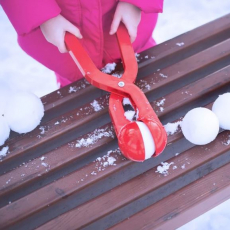 Снежколепы