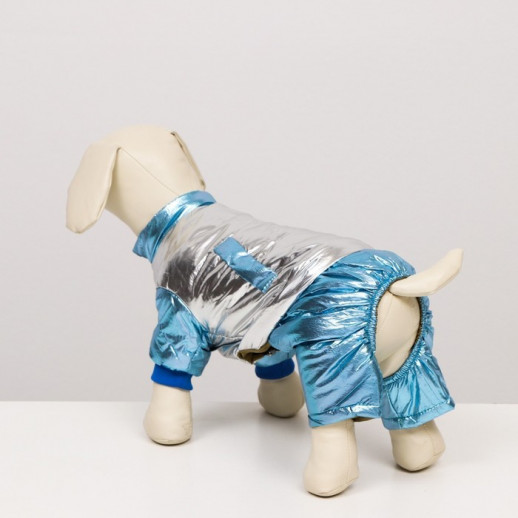 Комбинезон "Блеск" (ДС 32 см, ОГ 42 см, ОШ 31 см), серебряно-голубой