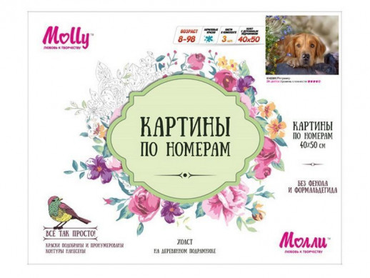 Картина по номерам 40х50 Ретривер (28 цветов)