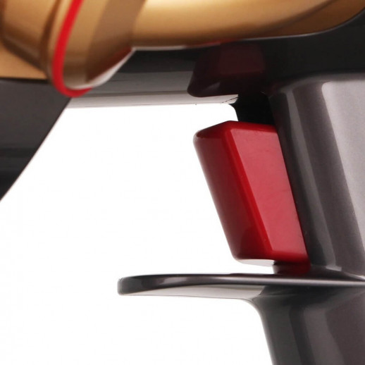 Беспроводные пылесосы Dyson Dyson V15 Detect Absolute Gold 447000-01