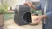 Мясорубка Bosch Bosch MFWS440B