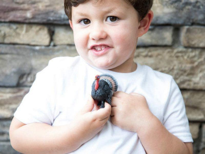 Фигурка Schleich Индюк