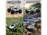 Машинка монстр JJRC Q88, свет, 1/22 2WD 2.4G RTR