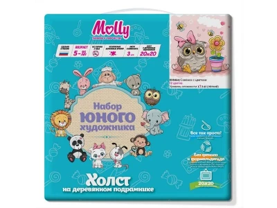 Набор юного художника 20х20 Совёнок с цветком (12 цветов)