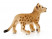 Фигурка Schleich Львенок
