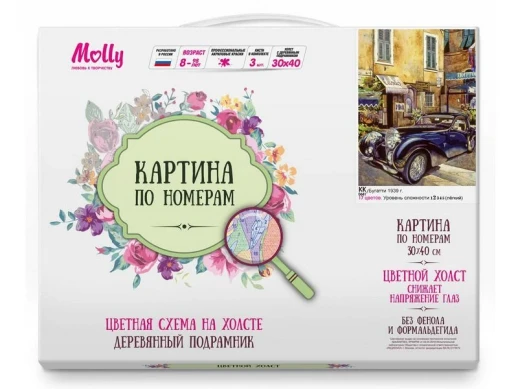 Картина по номерам с цв. схемой на холсте 30х40 Бугатти 1939 г. (17 цветов)