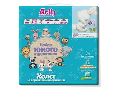 Набор юного художника 20х20 Зайчонок с цветком (13 цветов)