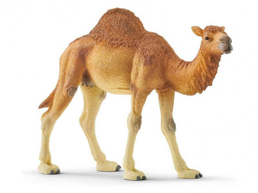 Фигурка Schleich Одногорбый верблюд