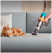 Беспроводные пылесосы Dyson Пылесос Dyson V15 Detect Absolute Gold (447045-01)