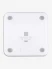 Цифровые весы Picooc Picooc Basic
