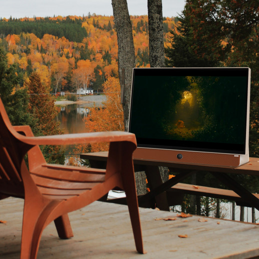 Портативный телевизор ЖК 24'' Skyworth Skyworth 24LP60G