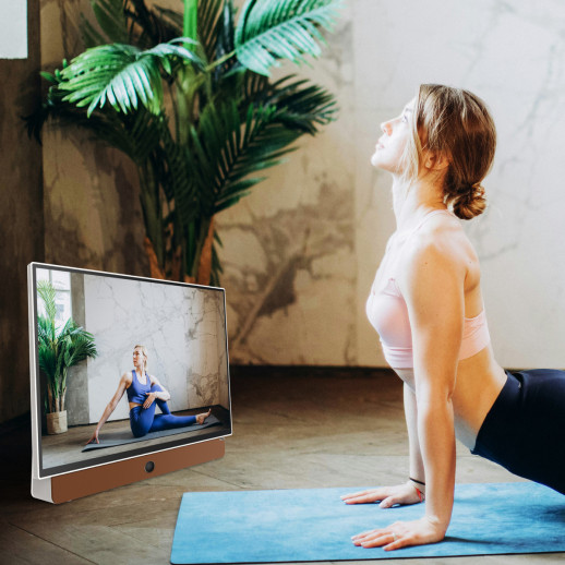 Портативный телевизор ЖК 24'' Skyworth Skyworth 24LP60G