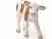 Фигурка Schleich Симментальский теленок