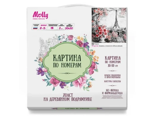 Картина по номерам 30х30 ПАРИЖ (13 цветов)