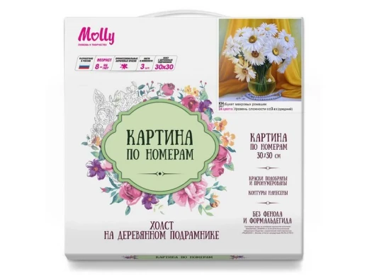 Картина по номерам 30х30 БУКЕТ МАХРОВЫХ РОМАШЕК (24 цвета)