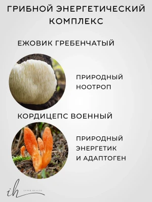 Ежовик + Кордицепс Мицелий Inner Health, 100 гр