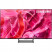 Телевизор OLED 77" Samsung Samsung Electronics QE77S90CAUXRU