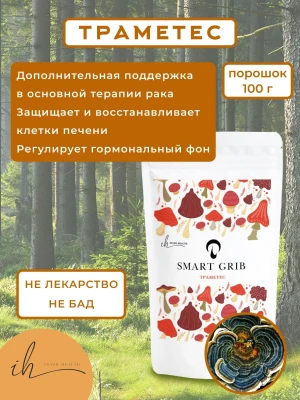 Траметес Inner Health разноцветный порошок, 100 гр