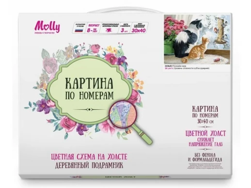 Картина по номерам с цветной схемой на холсте 30х40 Познаем мир (24 цвета)