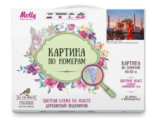 Картина по номерам с цветной схемой 40х50 СТАМБУЛ. АЙЯ-СОФИЯ (29 цветов)