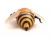 Радиоуправляемый робот Пчела Honeybee ZF-9923