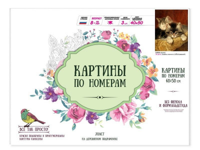 Картина по номерам 40х50 Котята (24 цвета)