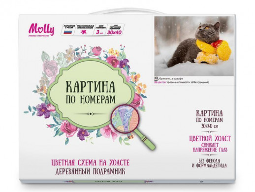Картина по номерам с цветной схемой на холсте 30х40 БРИТАНЕЦ В ШАРФЕ (20 цветов)
