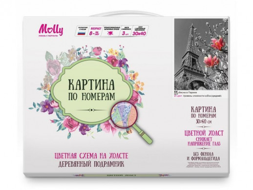 Картина по номерам с цв. схемой на холсте 30х40 ВЕСНА В ПАРИЖЕ (21 цвет)