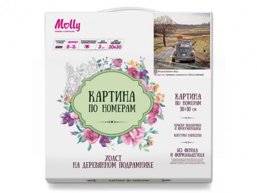 Картина по номерам 30х30 ФОЛЬКСВАГЕН ЖУК (18 цветов)