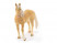 Фигурка Schleich Ахалтекинский жеребец