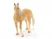 Фигурка Schleich Ахалтекинский жеребец