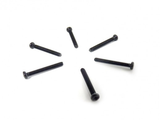 Винт с полукруглой головкой M2.5x20 под крестовую отвёртку 6шт.