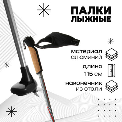 Палки лыжные алюминиевые Gekars Expert Plus