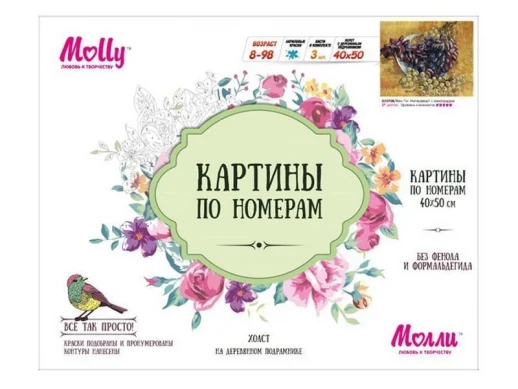 Картина по номерам 40х50 Натюрморт с виноградом ( 27 красок)