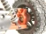Радиоуправляемая багги Remo Hobby Dingo UPGRADE (красная) 4WD 2.4G 1/16 RTR