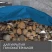 Тент защитный, 4 × 3 м, плотность 60 г/м², люверсы шаг 1, тарпаулин, синий