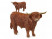 Фигурка Schleich Бык породы Хайленд