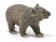 Фигурка Schleich Вомбат