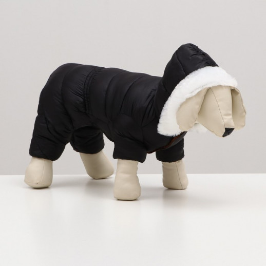 Комбинезон "Лайв" с утяжкой (ДС 36 см, ОГ 46 см, ОШ 35 см), чёрный