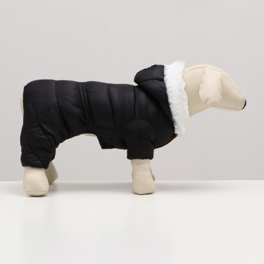 Комбинезон "Лайв" с утяжкой (ДС 36 см, ОГ 46 см, ОШ 35 см), чёрный