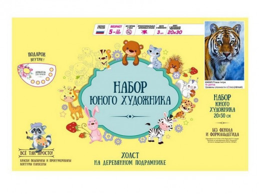 Набор юного художника 20х30 Глаза тигра (15 цветов)