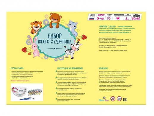 Набор юного художника 20х30 Глаза тигра (15 цветов)