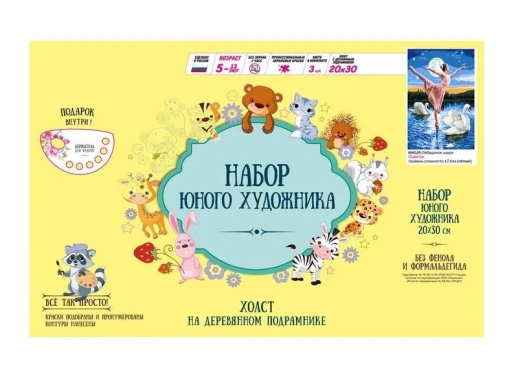 Набор юного художника 20х30 Лебединое озеро (17 цветов)