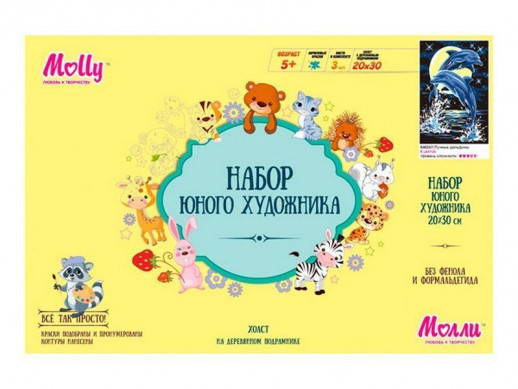 Набор юного художника 20х30 Лунные дельфины (8 цветов)