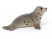 Фигурка Schleich Детеныш тюленя